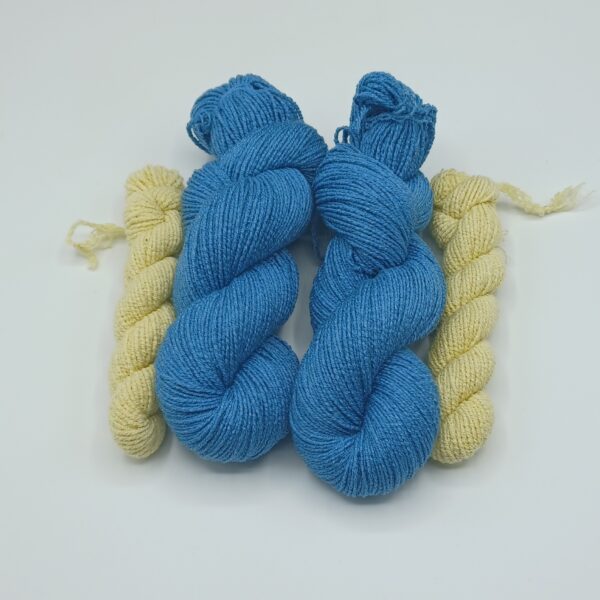 Bluetiful Sock Pack