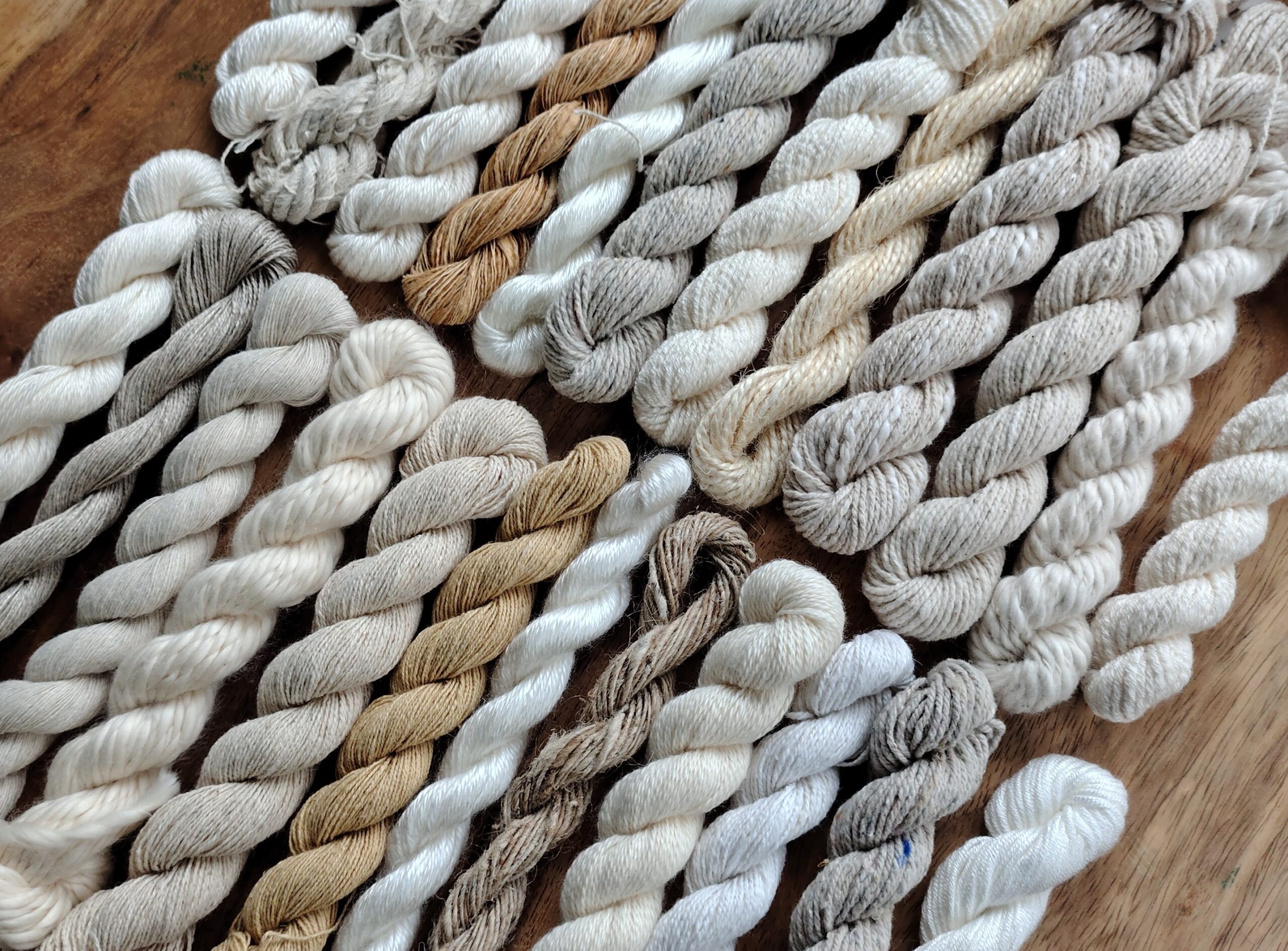 IMG_20260306_095500775_HDR